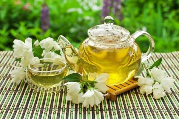 Lợi ích của trà hoa nhài với sức khoẻ và sắc đẹp