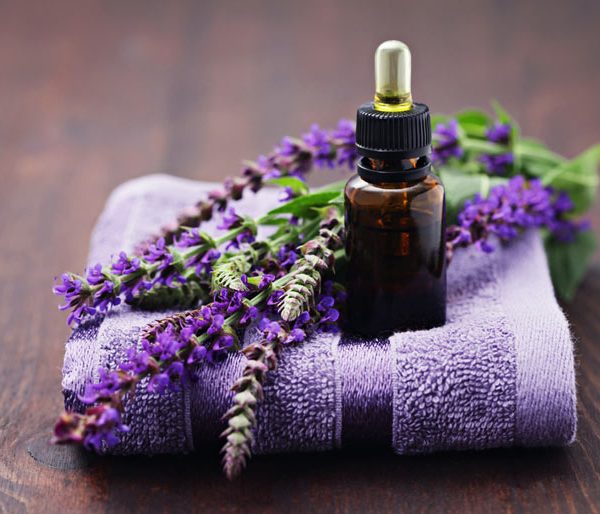 Tác dụng của tinh dầu hoa lavender đối với sức khoẻ và sắc đẹp